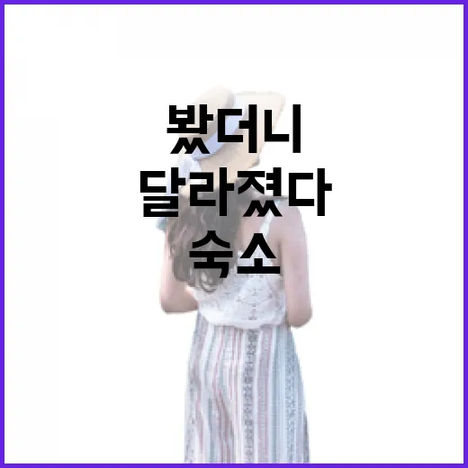 관광통역안내사와 여러 번 동행해봤더니 숙소 고르는 눈이 달라졌다 - 요약