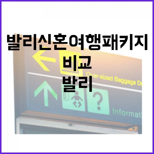 발리신혼여행패키지 직접 비교해봤더니, 사진보다 일정표가 더 중요했다 - 요약