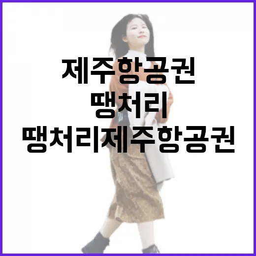 땡처리제주항공권 잡아 제주 숙소까지 직접 맞춰봤더니 생긴 일 - 요약