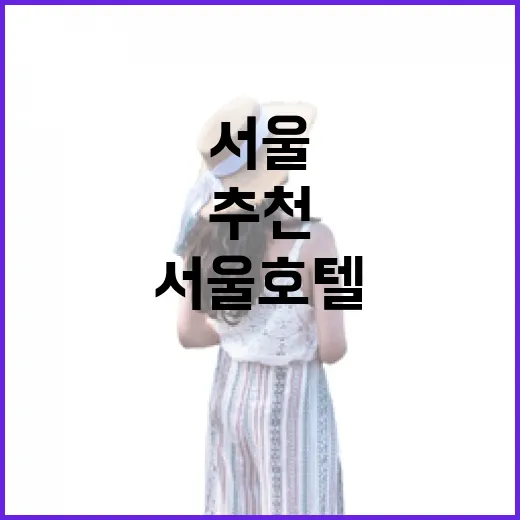 서울호텔추천, 100곳 넘게 자본 사람 기준으로 위치별로 골라봤더니 - 요약