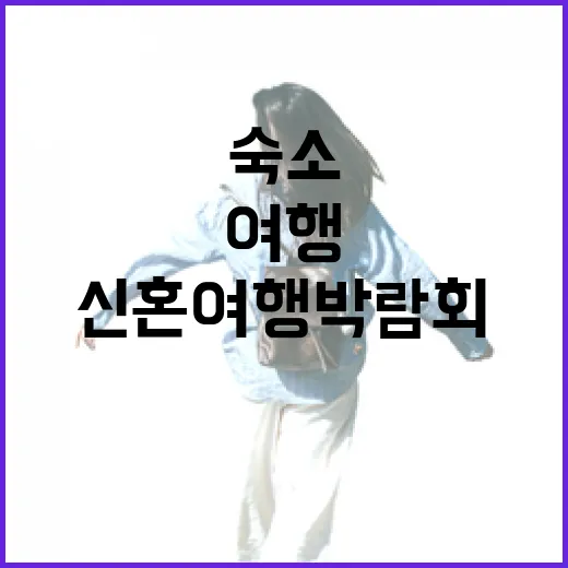 신혼여행박람회 직접 다녀와봤더니, 숙소 리뷰어 눈에 먼저 보인 것들 - 요약