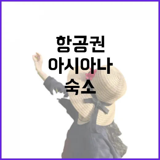 아시아나항공권 직접 끊고 숙소까지 맞춰보니 보였던 진짜 차이 - 요약