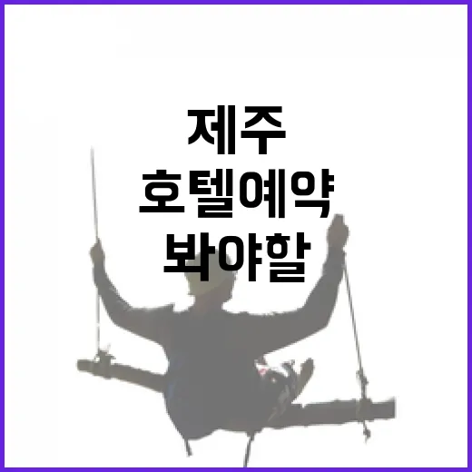 제주호텔예약 직접 여러 번 해봤더니, 사진보다 먼저 봐야 할 것들 - 요약