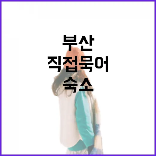 부산감성숙소 직접 묵어봤더니, 사진보다 먼저 봐야 할 것들 - 요약