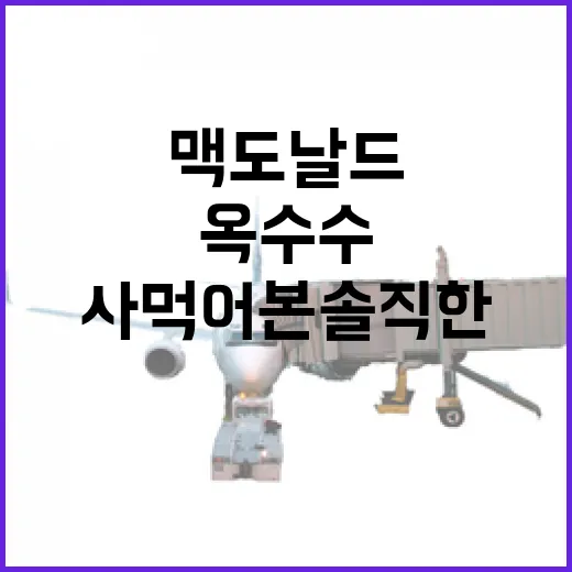 맥도날드 옥수수, 숙소 들어가기 전 사 먹어본 솔직한 이야기 - 요약