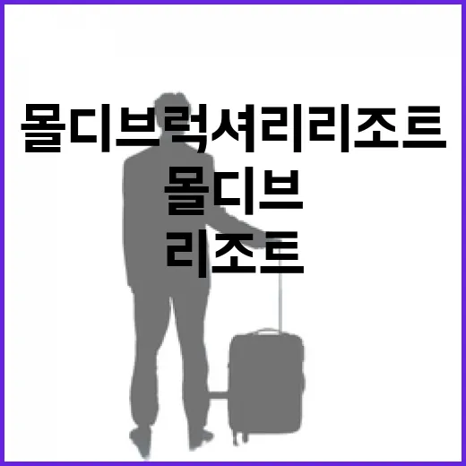 몰디브 럭셔리 리조트 직접 골라보며 느낀 진짜 차이, 사진보다 중요했던 것들 - 요약