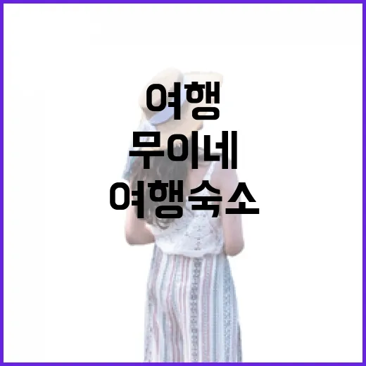 무이네여행 숙소를 직접 고르며 느낀 진짜 이야기 - 요약