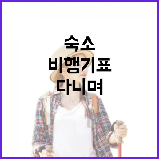 숙소 100곳 넘게 다니며 비행기표를 직접 끊어봤더니 보이던 것들 - 요약