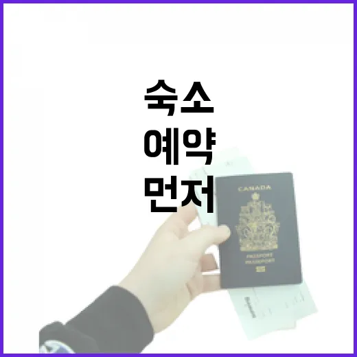 숙소 100곳 넘게 예약해봤더니, 사진보다 먼저 봐야 할 것들이 있었습니다 - 요약