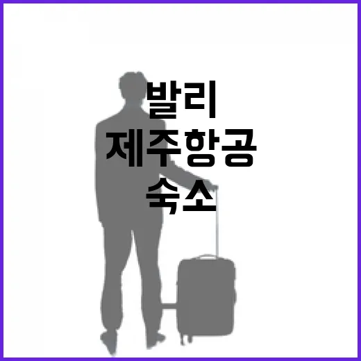제주항공발리 타고 숙소까지 잡아봤더니, 사진보다 먼저 봐야 할 것들 - 요약