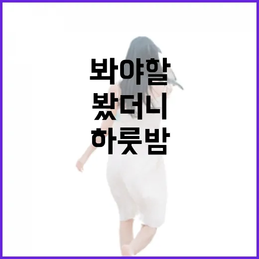 주문도에서 하룻밤 묵어봤더니, 사진보다 먼저 봐야 할 게 보였다 - 요약