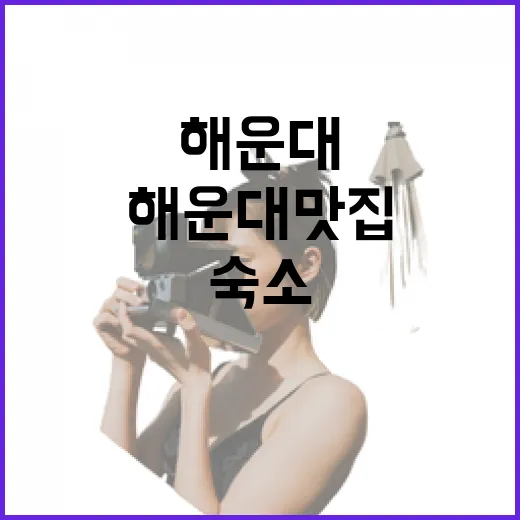 해운대맛집 직접 골라 다녀봤더니, 숙소 위치 따라 만족도가 꽤 갈렸다 - 요약