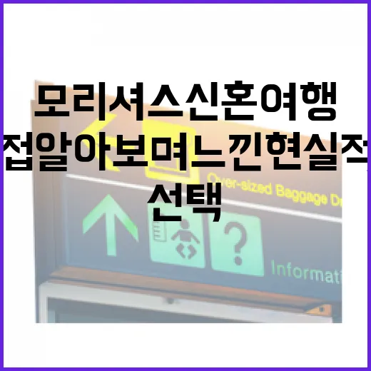 모리셔스신혼여행 직접 알아보며 느낀 현실적인 숙소 선택 이야기 - 요약