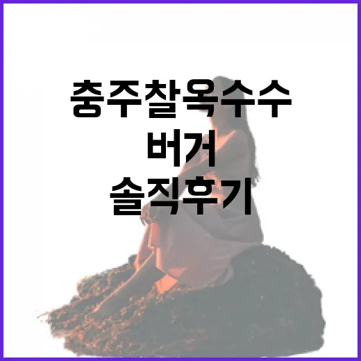 충주 찰옥수수 버거 먹어봤더니, 여행 동선에 넣을 만한지 솔직 후기 - 요약