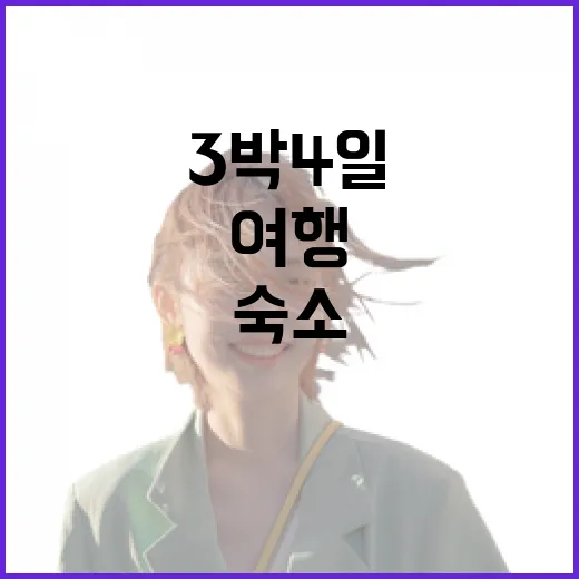 3박4일 해외여행, 숙소 100곳 넘게 묵어본 사람이 짐 싸기 전 따져본 진짜 이야기 - 요약