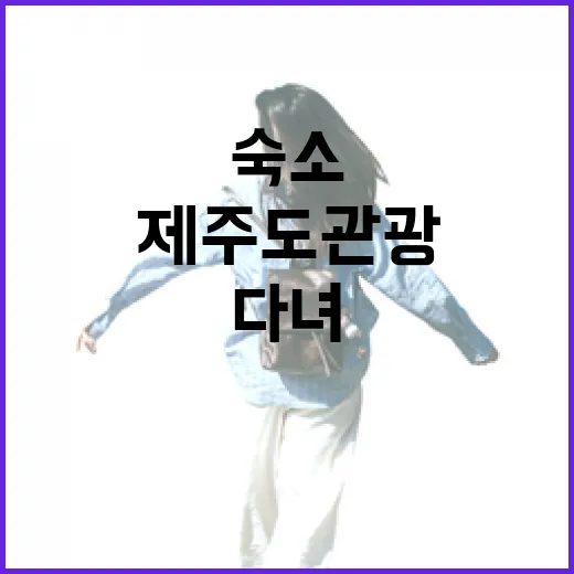 제주도 관광 숙소 100곳 넘게 다녀보니 보이던 진짜 차이 - 요약