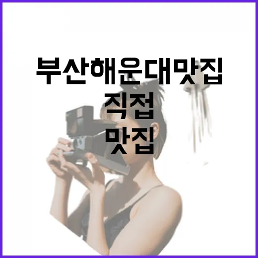 부산 해운대 맛집을 직접 돌아다니며 느낀 진짜 차이 - 요약