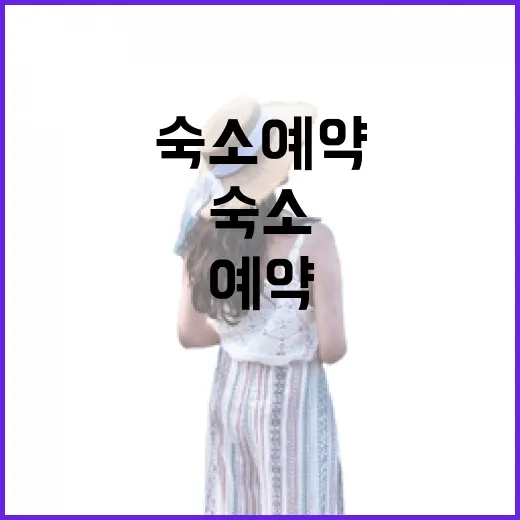 숙소예약 100번 넘게 해봤더니 사진보다 먼저 보게 된 것들 - 요약