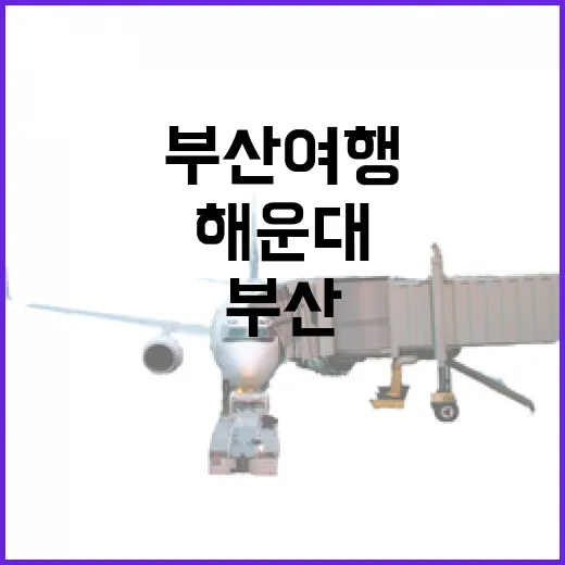 부산여행 숙소 100곳 넘게 묵어본 사람이 해운대 대신 고른 동네들 - 요약