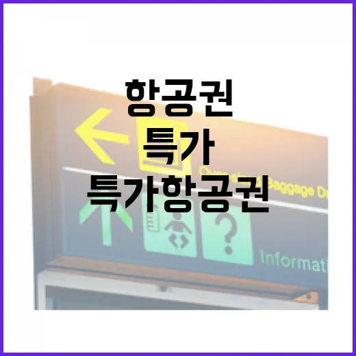 특가항공권 잡고 숙소까지 맞춰봤더니, 여행비가 진짜 줄어든 이야기 - 요약