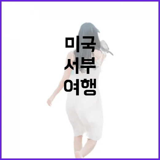 미국패키지여행으로 서부 숙소까지 직접 겪어봤더니 보인 진짜 차이 - 요약