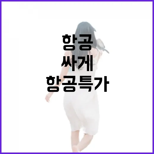 진에어항공특가 보고 숙소까지 잡아봤더니, 싸게 가는 여행이 꼭 싼 여행은 아니더라 - 요약