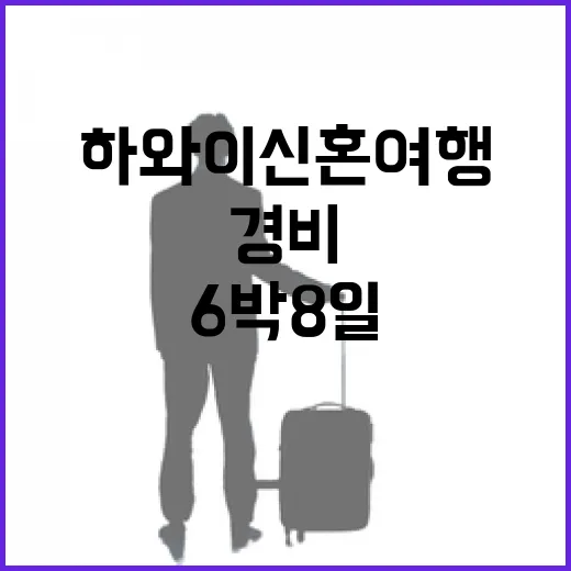 하와이 신혼여행 6박 8일 다녀온 사람들 경비를 뜯어봤더니 - 요약