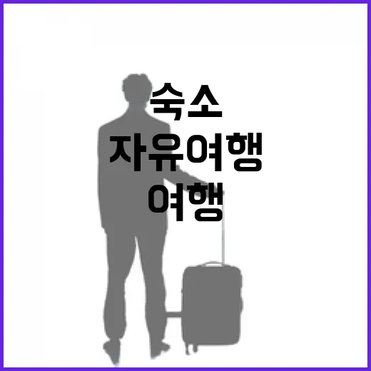 자유여행만 고집하다가 숙소에서 몇 번 데여본 사람의 진짜 이야기 - 요약