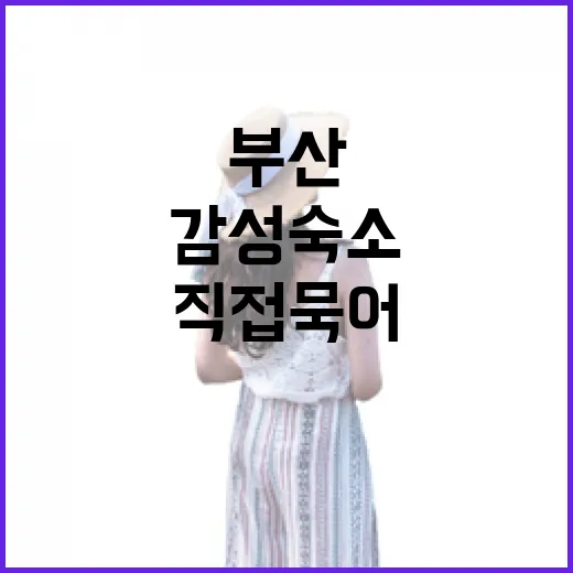 부산감성숙소 직접 묵어봤더니, 사진보다 먼저 봐야 할 것들이 있더라 - 요약
