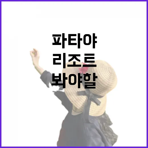 파타야리조트 직접 골라 묵어봤더니 사진보다 먼저 봐야 할 게 있더라 - 요약