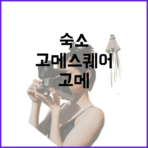 숙소 잡고 고메스퀘어까지 다녀와봤더니, 저녁 고민이 꽤 줄었다 - 요약