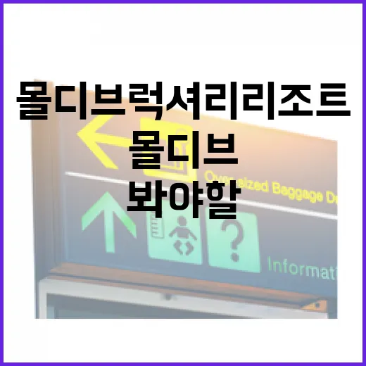 몰디브럭셔리리조트 직접 골라보니 사진보다 먼저 봐야 할 것들 - 요약