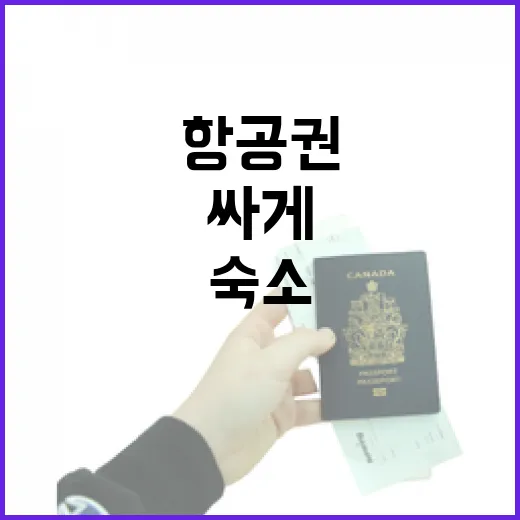 숙소 100곳 넘게 다니며 항공권할인 찾아봤더니, 싸게 산 표보다 중요한 게 있더라 - 요약