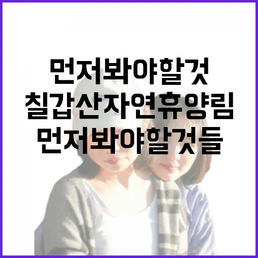 칠갑산자연휴양림에서 하루 묵어봤더니, 사진보다 먼저 봐야 할 것들 - 요약