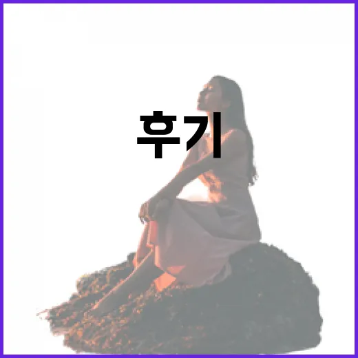 진에어 특가 알림 켜고 3일 매달려봤더니, 숙소비까지 달라진 실제 성공 후기 - 요약