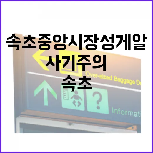 속초 중앙시장 성게알 사려다 멈칫했던 날, 현장에서 느낀 사기 주의 포인트 - 요약