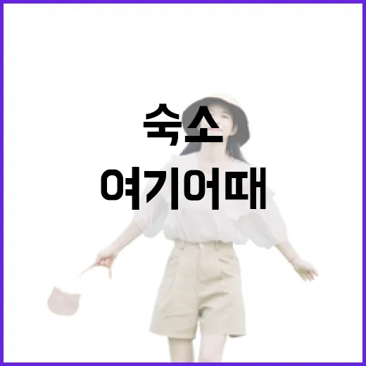 여기어때로 숙소 100곳 넘게 골라봤더니 사진보다 먼저 보게 된 것들 - 요약