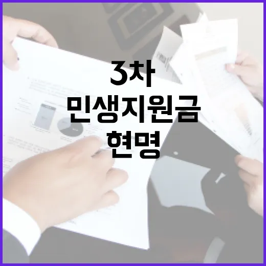 현명하게 민생지원금 3차 활용하기 - 요약