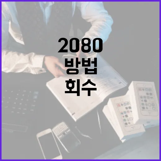 2080 회수를 이해하고 활용하는 방법 - 요약