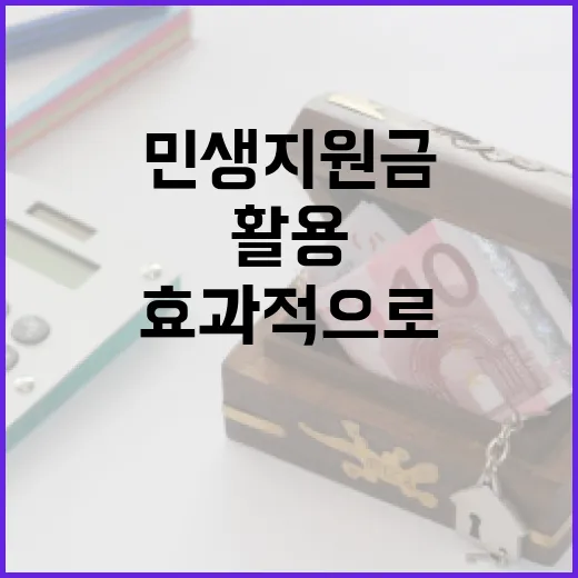 민생지원금을 효과적으로 활용하는 방법 - 요약