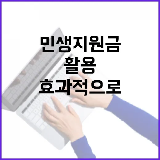 민생지원금을 효과적으로 활용하는 방법 - 요약