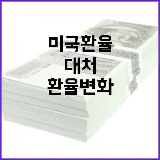 미국환율 변화에 대처하는 방법 - 요약