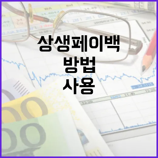 상생페이백을 효과적으로 사용하는 방법 - 요약