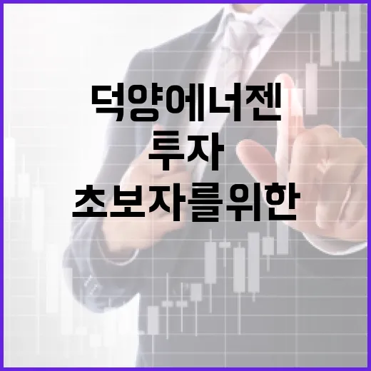 초보자를 위한 덕양에너젠 투자 방법 - 요약