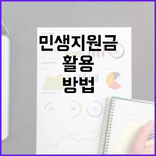 효율적으로 민생지원금을 활용하는 방법 - 요약