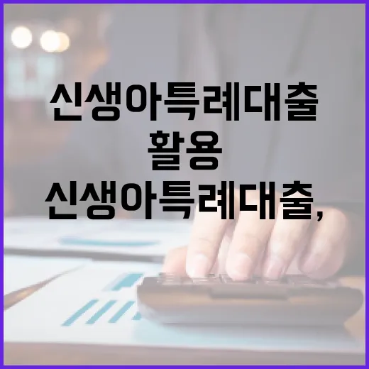 신생아 특례대출, 이렇게 활용하세요! - 요약