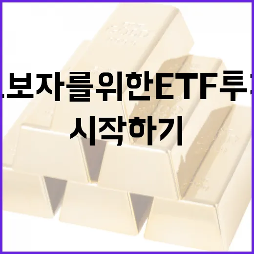 초보자를 위한 ETF 투자 방법: 기초부터 시작하기 - 요약