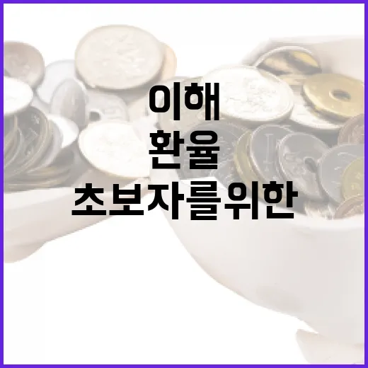 미국 환율 이해하는 방법: 초보자를 위한 가이드 - 요약