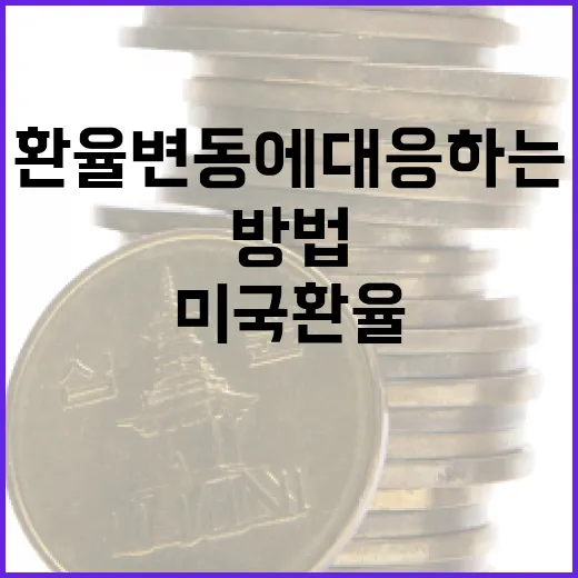 미국환율 변동에 대응하는 방법 - 요약