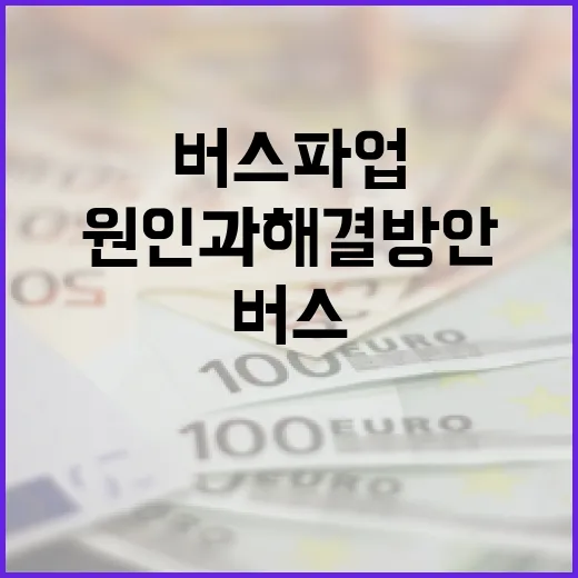 버스 파업의 주요 원인과 해결 방안 이해하기 - 요약